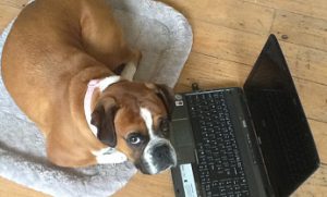 Don't suffer with writers block!