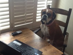 Transcription transcription